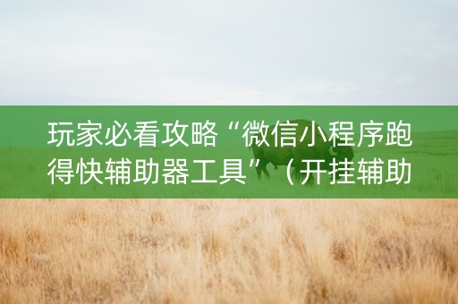 玩家必看攻略“微信小程序跑得快辅助器工具”（开挂辅助器脚本)