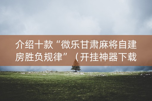 介绍十款“微乐甘肃麻将自建房胜负规律”（开挂神器下载)
