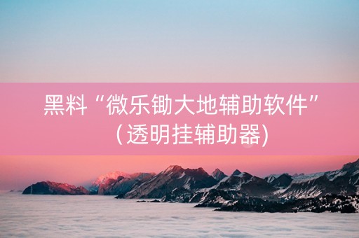 黑料“微乐锄大地辅助软件”（透明挂辅助器)