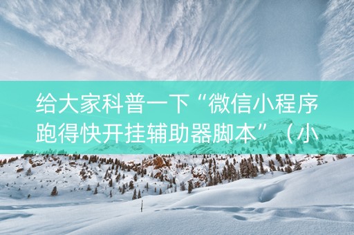 给大家科普一下“微信小程序跑得快开挂辅助器脚本”（小程序怎么才会赢)
