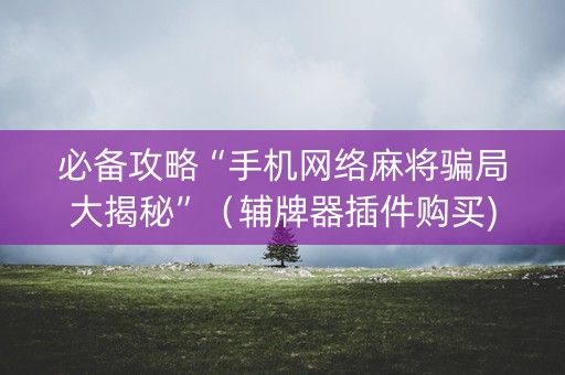 必备攻略“手机网络麻将骗局大揭秘”（辅牌器插件购买)