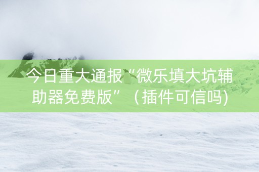 今日重大通报“微乐填大坑辅助器免费版”（插件可信吗)