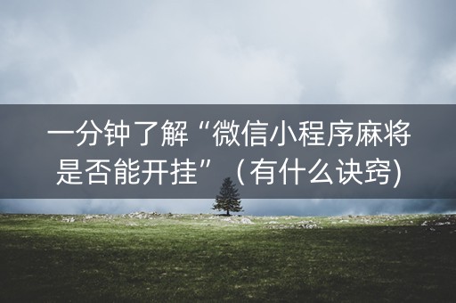 一分钟了解“微信小程序麻将是否能开挂”（有什么诀窍)