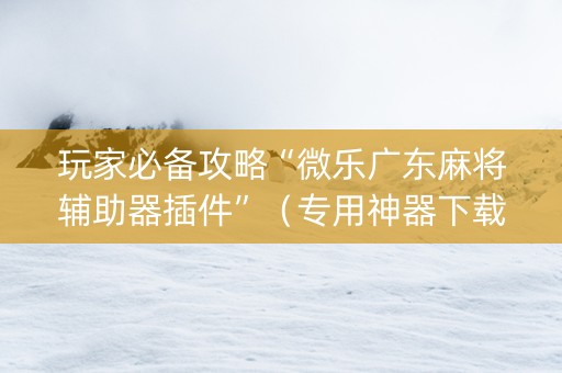 玩家必备攻略“微乐广东麻将辅助器插件”（专用神器下载)