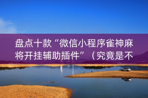 盘点十款“微信小程序雀神麻将开挂辅助插件”（究竟是不是有挂)