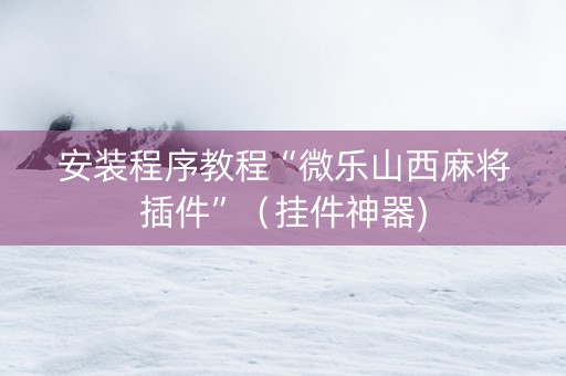 安装程序教程“微乐山西麻将插件”（挂件神器)