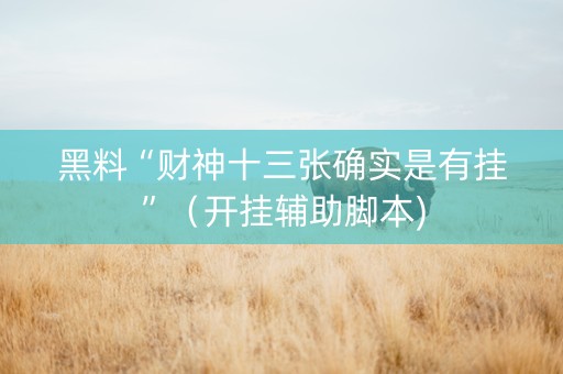 黑料“财神十三张确实是有挂”（开挂辅助脚本)