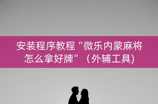 安装程序教程“微乐内蒙麻将怎么拿好牌”（外辅工具)