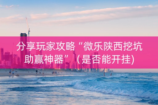 分享玩家攻略“微乐陕西挖坑助赢神器”（是否能开挂)