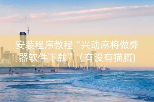 安装程序教程“兴动麻将做弊器软件下载”（有没有猫腻)