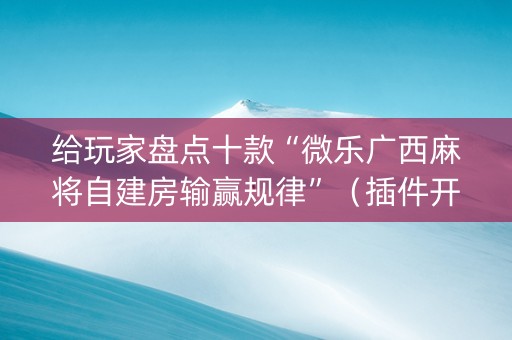 给玩家盘点十款“微乐广西麻将自建房输赢规律”（插件开挂免费AI)
