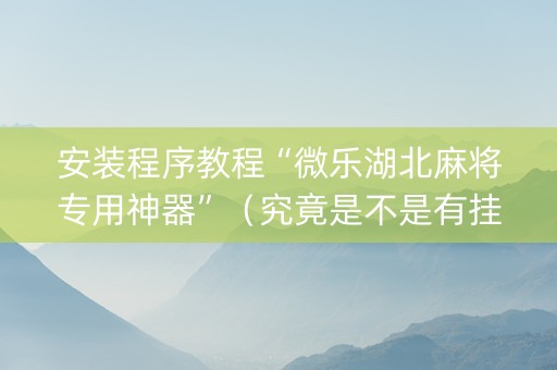 安装程序教程“微乐湖北麻将专用神器”（究竟是不是有挂)