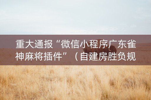 重大通报“微信小程序广东雀神麻将插件”（自建房胜负规律)