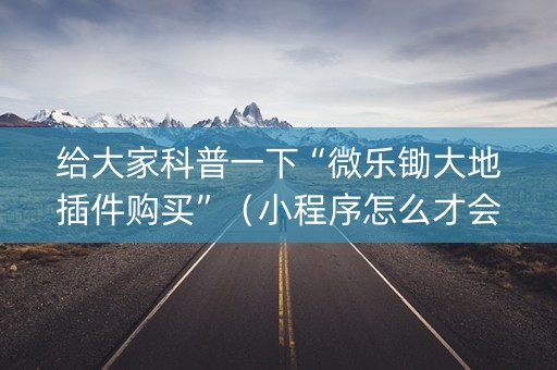 给大家科普一下“微乐锄大地插件购买”（小程序怎么才会赢)