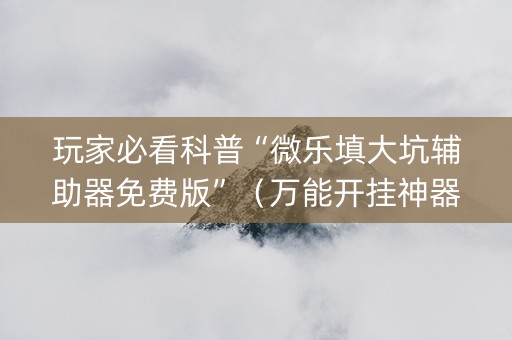 玩家必看科普“微乐填大坑辅助器免费版”（万能开挂神器)