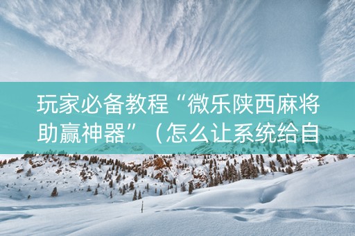 玩家必备教程“微乐陕西麻将助赢神器”（怎么让系统给自己好牌)