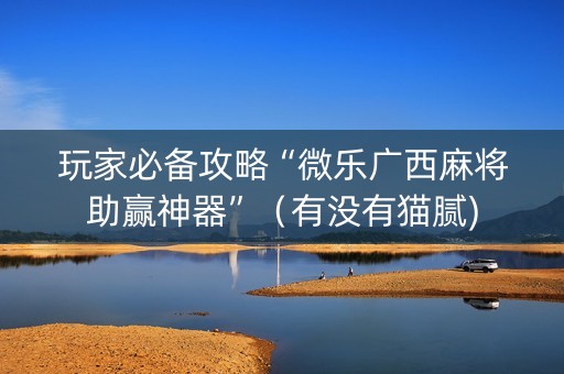 玩家必备攻略“微乐广西麻将助赢神器”（有没有猫腻)