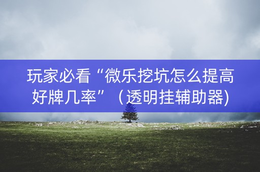 玩家必看“微乐挖坑怎么提高好牌几率”（透明挂辅助器)