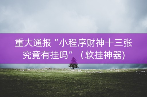 重大通报“小程序财神十三张究竟有挂吗”（软挂神器)