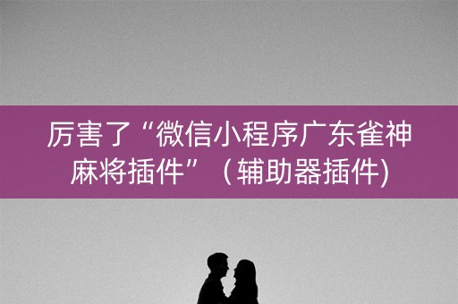厉害了“微信小程序广东雀神麻将插件”（辅助器插件)