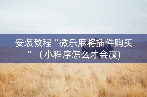 安装教程“微乐麻将插件购买”（小程序怎么才会赢)