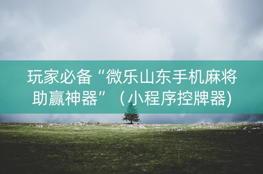玩家必备“微乐山东手机麻将助赢神器”（小程序控牌器)