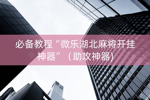 必备教程“微乐湖北麻将开挂神器”（助攻神器)