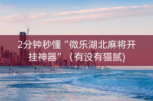 2分钟秒懂“微乐湖北麻将开挂神器”（有没有猫腻)