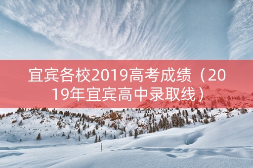 宜宾各校2019高考成绩（2019年宜宾高中录取线）