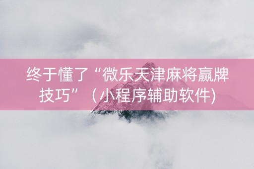 终于懂了“微乐天津麻将赢牌技巧”（小程序辅助软件)
