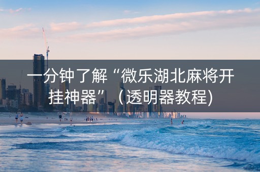 一分钟了解“微乐湖北麻将开挂神器”（透明器教程)