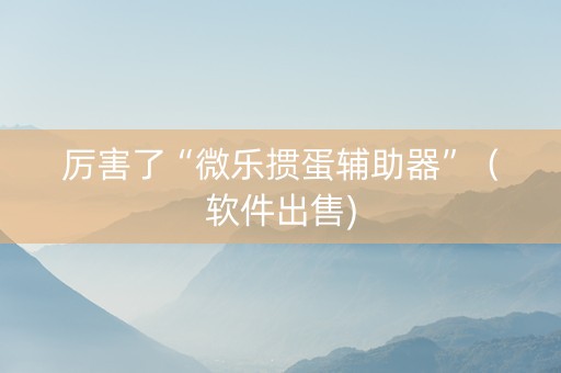 厉害了“微乐掼蛋辅助器”（软件出售)
