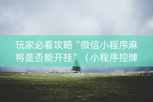 玩家必看攻略“微信小程序麻将是否能开挂”（小程序控牌器)