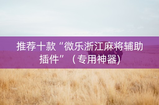 推荐十款“微乐浙江麻将辅助插件”（专用神器)