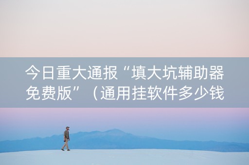 今日重大通报“填大坑辅助器免费版”（通用挂软件多少钱)