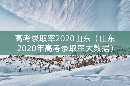 高考录取率2020山东（山东2020年高考录取率大数据）