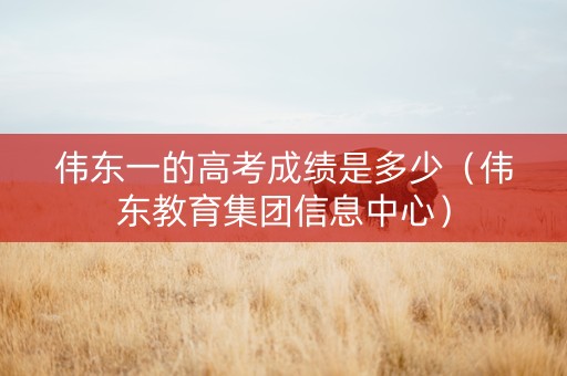 伟东一的高考成绩是多少（伟东教育集团信息中心）