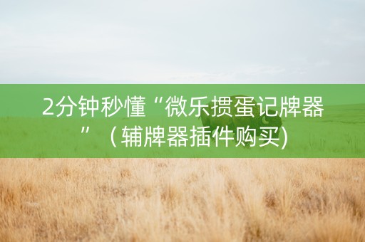 2分钟秒懂“微乐掼蛋记牌器”（辅牌器插件购买)