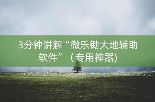 3分钟讲解“微乐锄大地辅助软件”（专用神器)