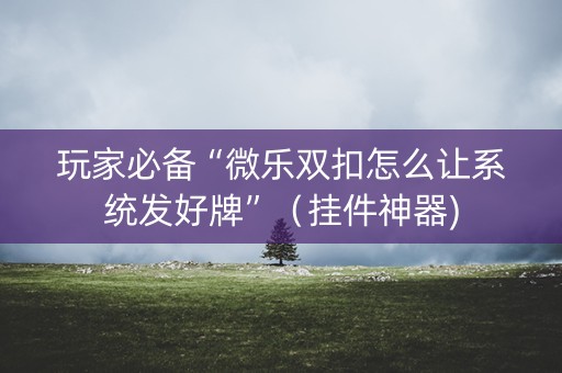 玩家必备“微乐双扣怎么让系统发好牌”（挂件神器)