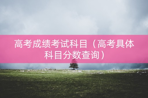 高考成绩考试科目（高考具体科目分数查询）