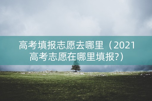 高考填报志愿去哪里（2021高考志愿在哪里填报?）