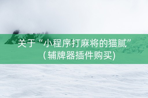 关于“小程序打麻将的猫腻”（辅牌器插件购买)