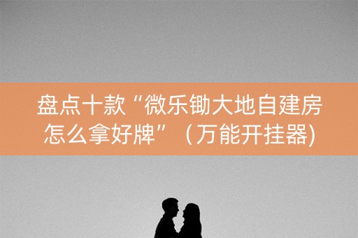 盘点十款“微乐锄大地自建房怎么拿好牌”（万能开挂器)