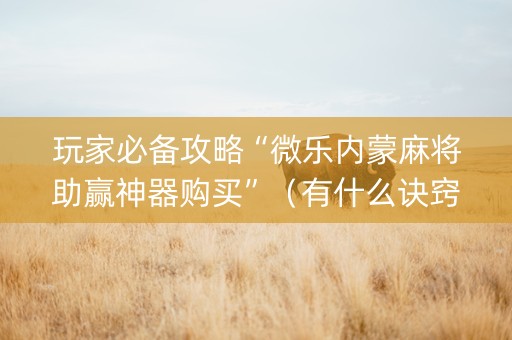 玩家必备攻略“微乐内蒙麻将助赢神器购买”（有什么诀窍)