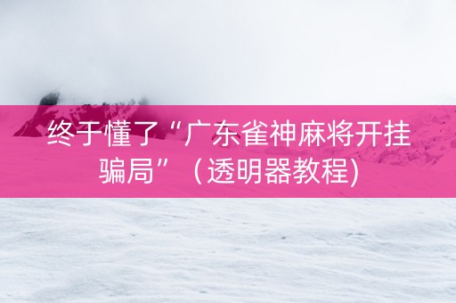 终于懂了“广东雀神麻将开挂骗局”（透明器教程)