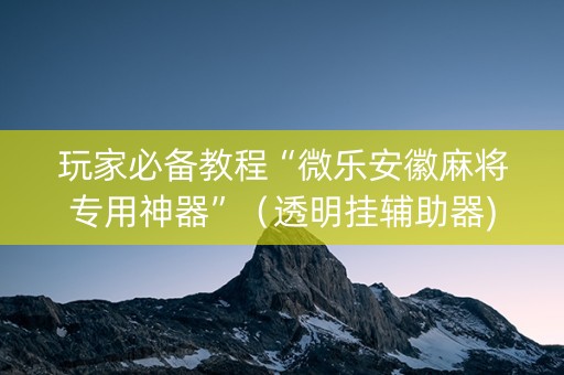玩家必备教程“微乐安徽麻将专用神器”（透明挂辅助器)