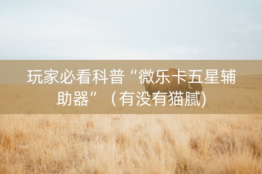 玩家必看科普“微乐卡五星辅助器”（有没有猫腻)