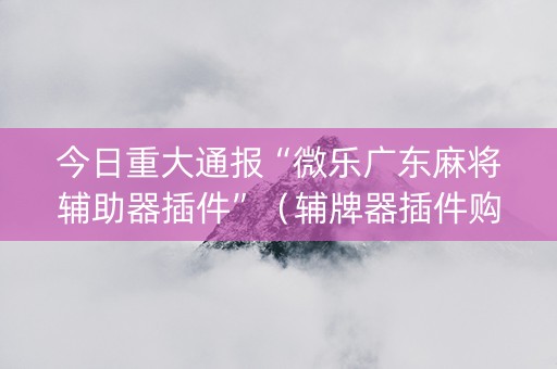 今日重大通报“微乐广东麻将辅助器插件”（辅牌器插件购买)