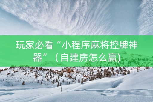玩家必看“小程序麻将控牌神器”（自建房怎么赢)